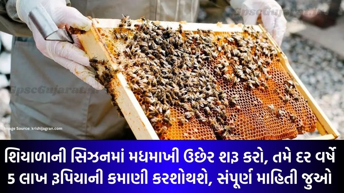 Bee-Farming-Business